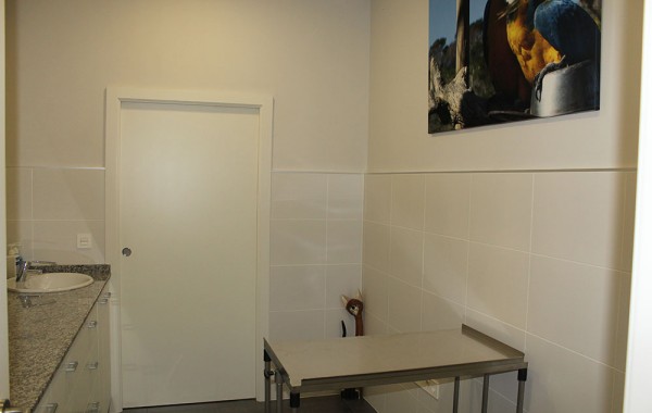 Instalaciones – Faunatopía