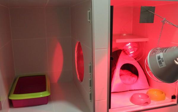 Instalaciones – Faunatopía