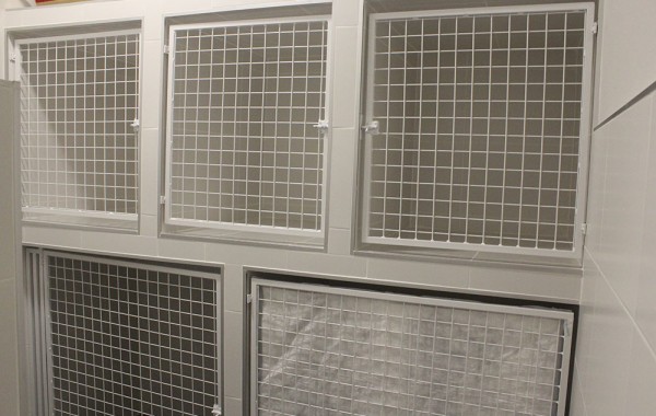 Instalaciones – Faunatopía