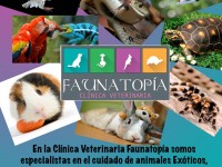 Servicio de exóticos