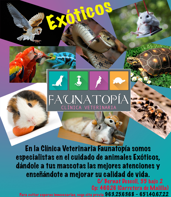 Servicio de exóticos