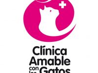 Clínica amable con los gatos