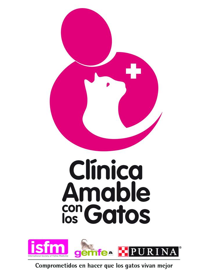 Clínica amable con los gatos